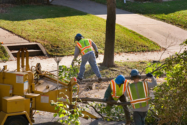 Best Landscape Design and Installation  in Pleasantville, NY